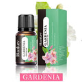 Diffuser Aroma Oil – 10ml | 21 Scents