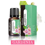 Diffuser Aroma Oil – 10ml | 21 Scents